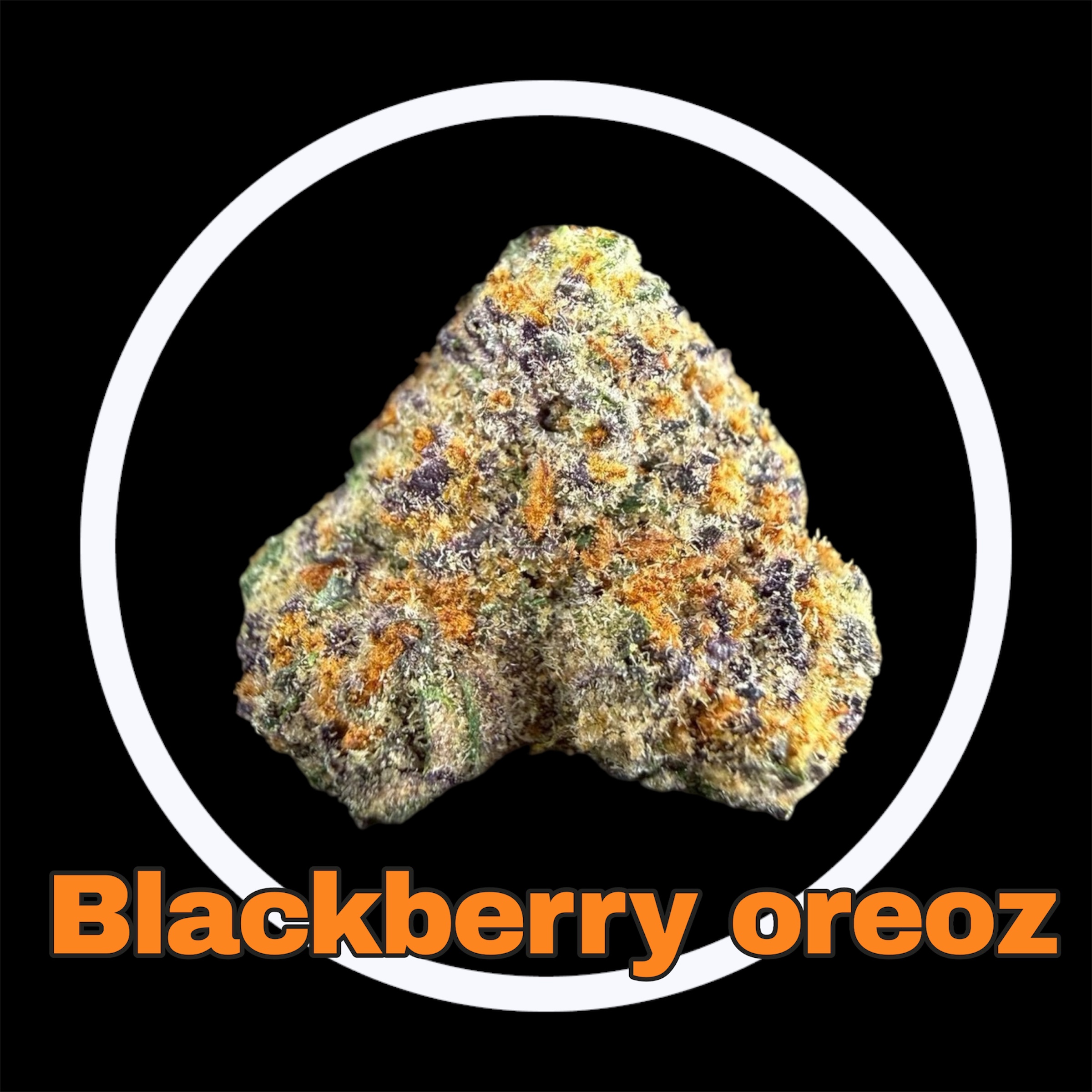 30-03-26 07-09-32pm.jpg